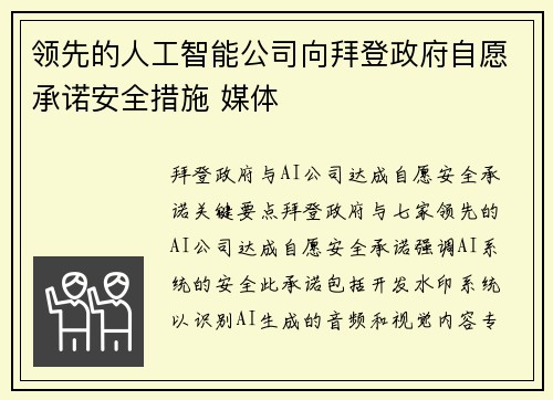 领先的人工智能公司向拜登政府自愿承诺安全措施 媒体