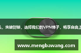 保护隐私，突破封锁，选择我们的VPN梯子，畅享自由上网体验！